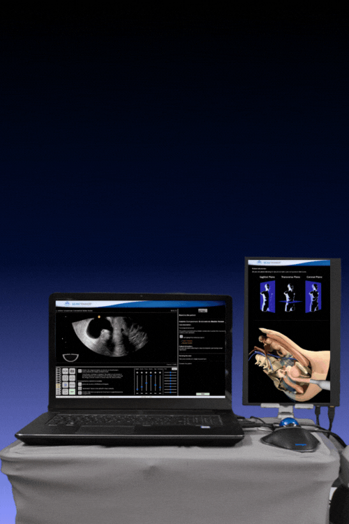 endo banner 2025 res